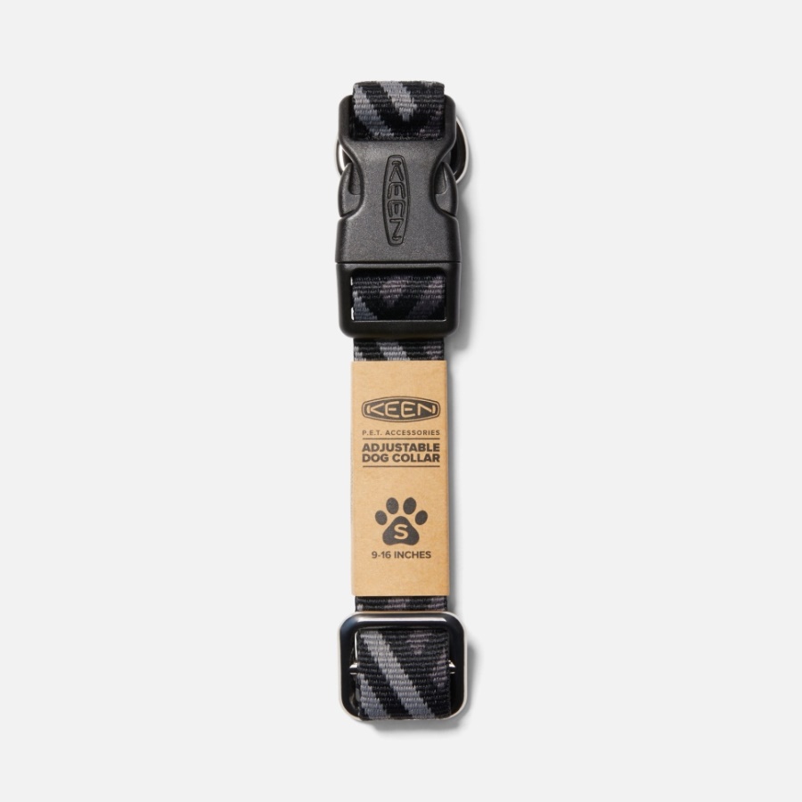 Collier De Chien Vif Noir-acier Gris Vif