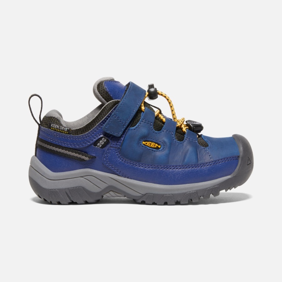 Chaussures De Randonnée Imperméables Targhee Pour Jeunes Enfants Vif Bleu Profondeurs-forêt Nuit